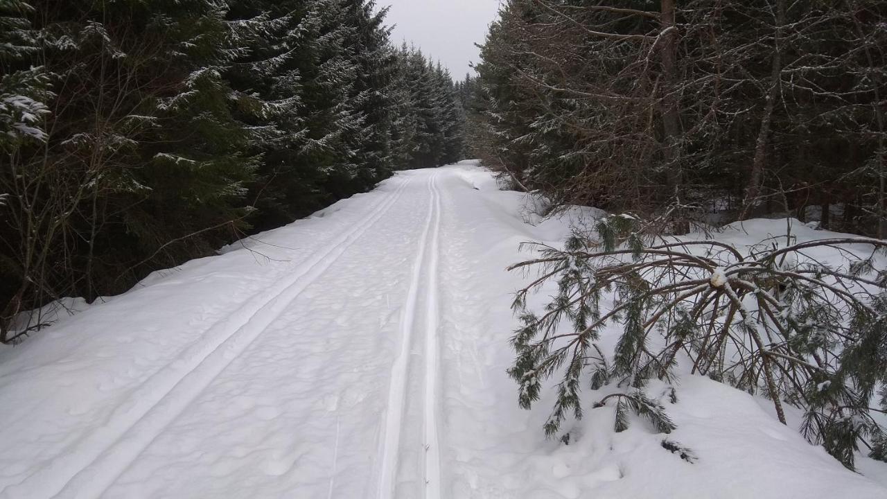 Apt.Jana ,Apt.Terezka Leilighet Stožec Eksteriør bilde